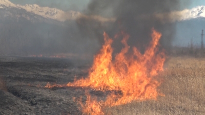 В Абхазии вновь обострилась ситуация с лесными пожарами