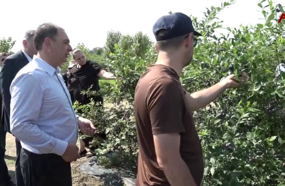 Гали Тҟәарчали рраионқәа ирҭааит ақыҭанхамҩа аминистрра анапхгара