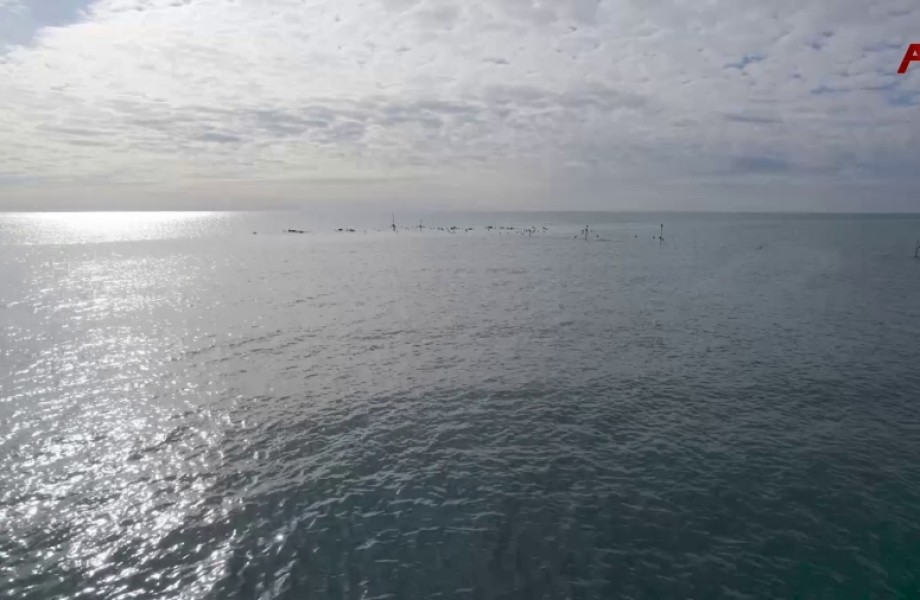 Какой будет погода, и можно ли надеяться, что этой зимой мы еще порадуемся снегу?