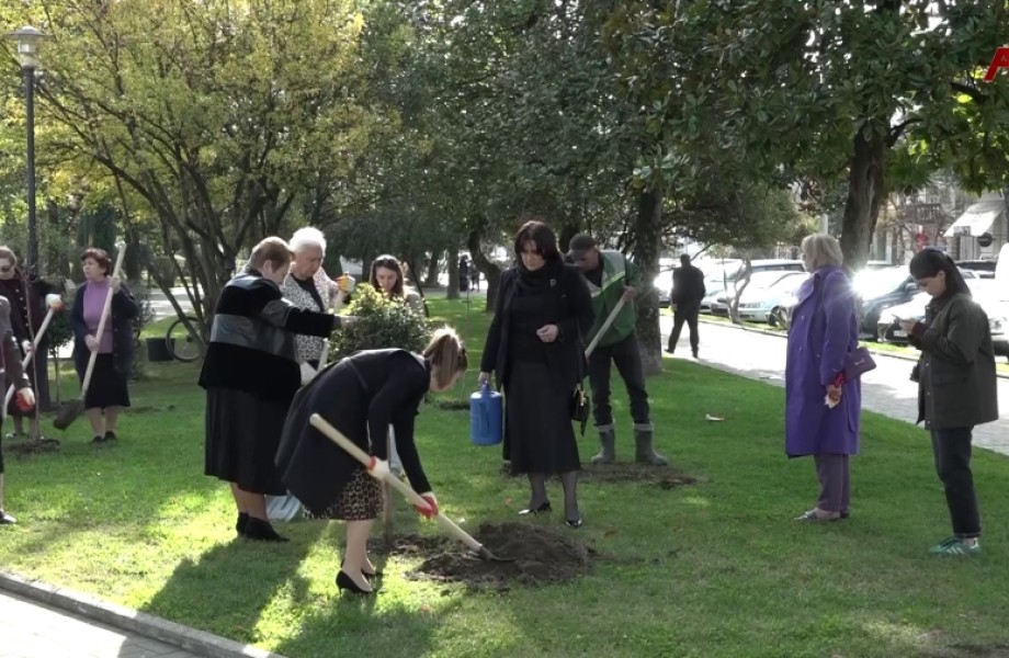 Аҧсны анацәа рхеидкыла аҧшьгарала, Аҟәа Ахьӡ- Аҧша апарк, афырхацәа раллеиаҿы еиҭаҳан ашәҭҵлақәа