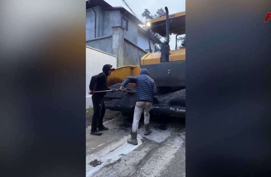 Гәылрыҧшь араион Каштак аҳаблаҿы Леснаиа амҩаду иахьаҵанакуа амҩа ахәҭак аҿы акаҭран ҿыц ықәҵан