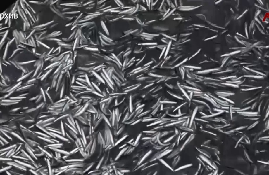 Аҧсыӡ хкы акамшьиа акра иаамҭоуп