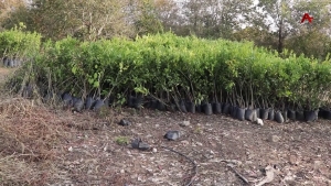 Государственная программа развития сельского хозяйства продолжает свою работу