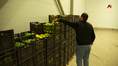 В посёлке Агудзера Гулрыпшского района ведётся приём сельхозпродукции у населения