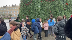 Спектакли, мастер-классы, сюрпризы