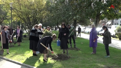 Аҧсны анацәа рхеидкыла аҧшьгарала, Аҟәа Ахьӡ- Аҧша апарк, афырхацәа раллеиаҿы еиҭаҳан ашәҭҵлақәа