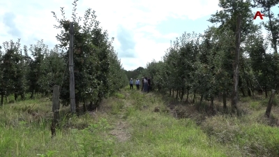 Иааиуа ашықәс азы ақыҭанхамҩа аҿиаразы апрограмма иазоужьхоит миллиардбжак