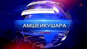 Амшеикушара плюс. Энергетический кризис. Круглый стол в ЦСИ