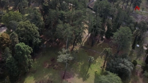 Николаи Смецкои ипарк аиҭашьақәыргыларазы аусурақәа хацыркуп