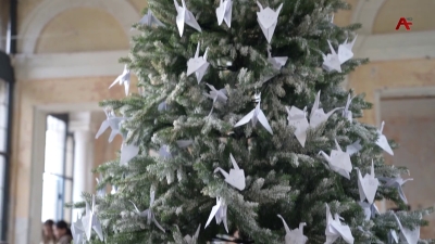 Акциа «Ашанаҵла» хацыркуп