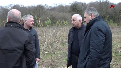 Ацхыраара алҵшәа аиуроуп