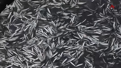 Аҧсыӡ хкы акамшьиа акра иаамҭоуп