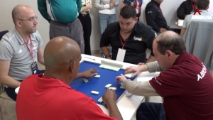 Адомино азы жәларбжьаратәи атурнир